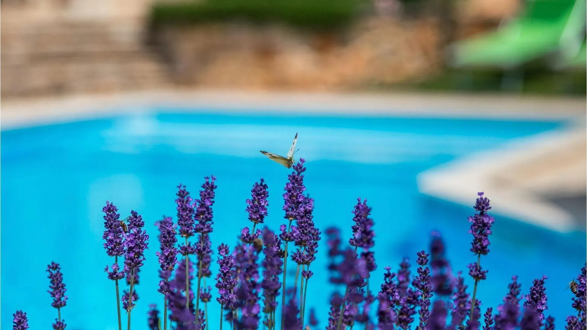 Villa Casa Theresa Porec